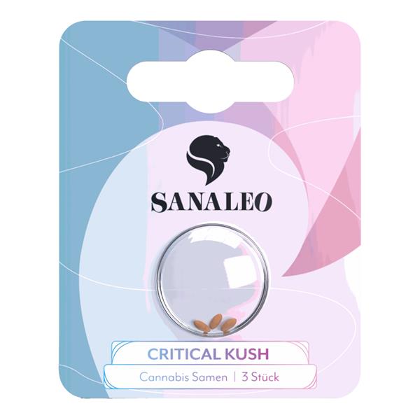 Sanaleo Cannabis Samen Autoflowering Critical Kush (3 Stück pro Packung)
