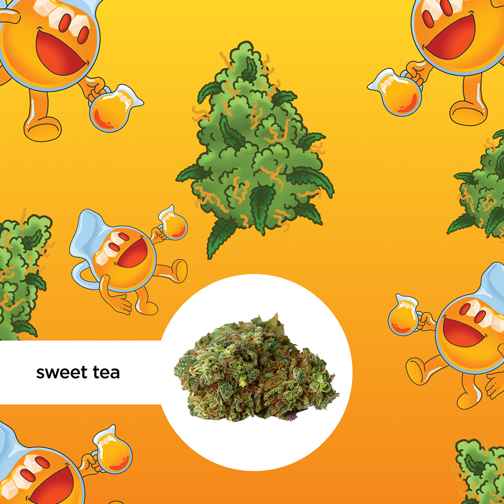 Kleine Knospe Aromablüte Sweet Tea CBD 24%