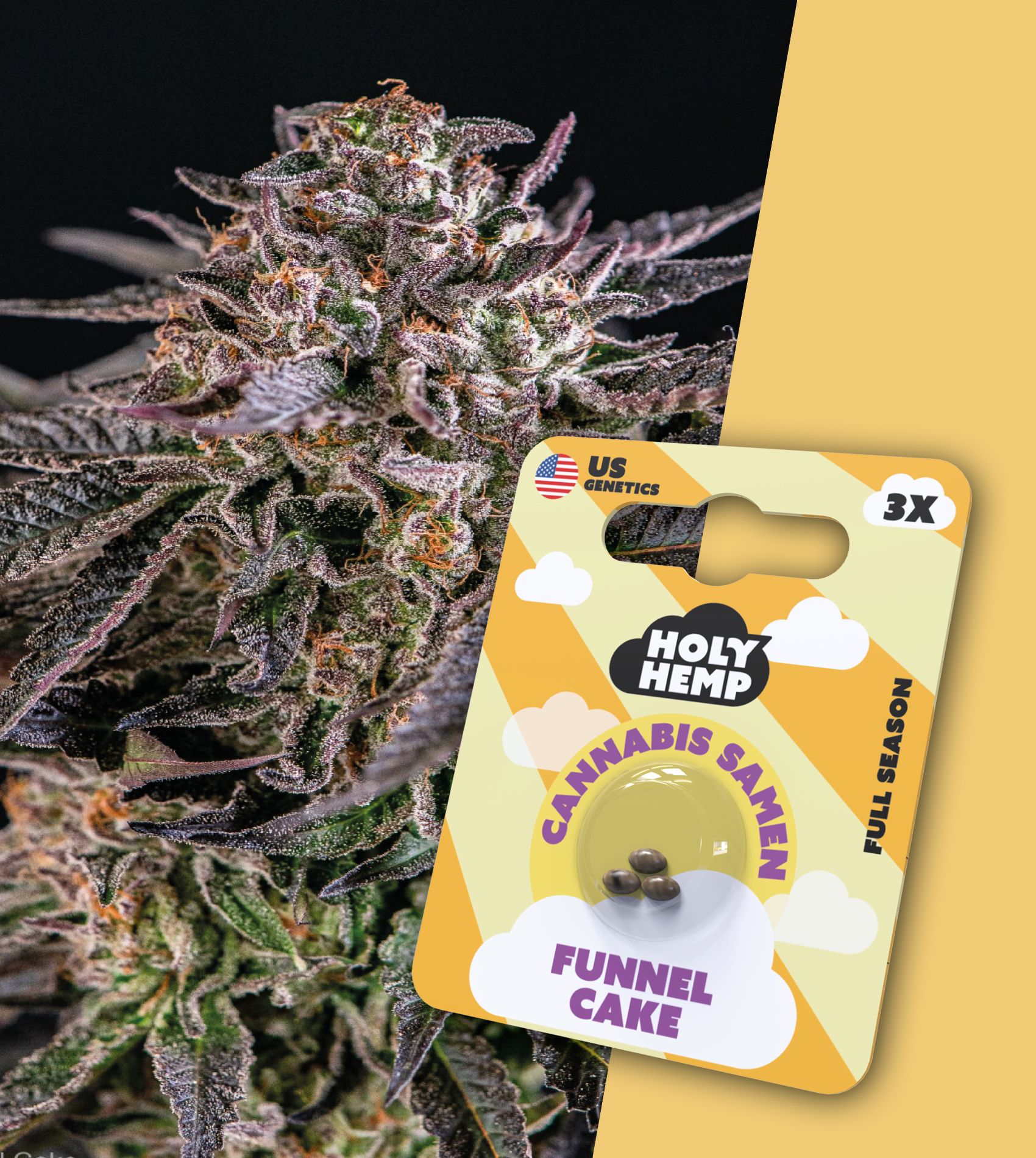 Holy Hemp Samen Full Season Funnel Cake (3 Stück pro Packung)