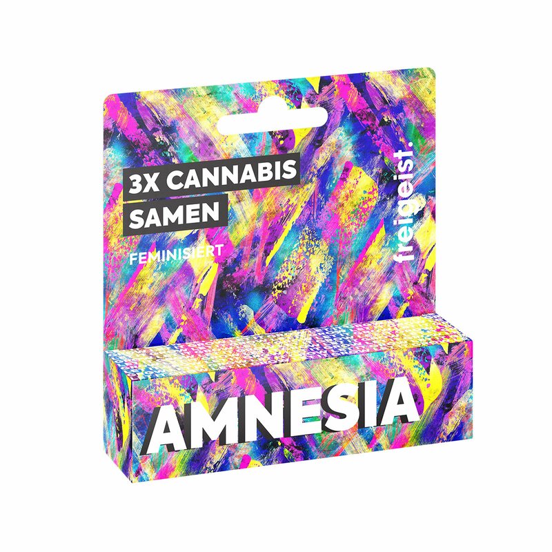 Freigeist Cannabis Samen Feminisiert Amnesia (3 Stück pro Packung)