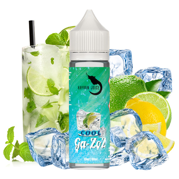 Hayvan Aroma Juice Cool Ga-zoz 10ml (Longfill)