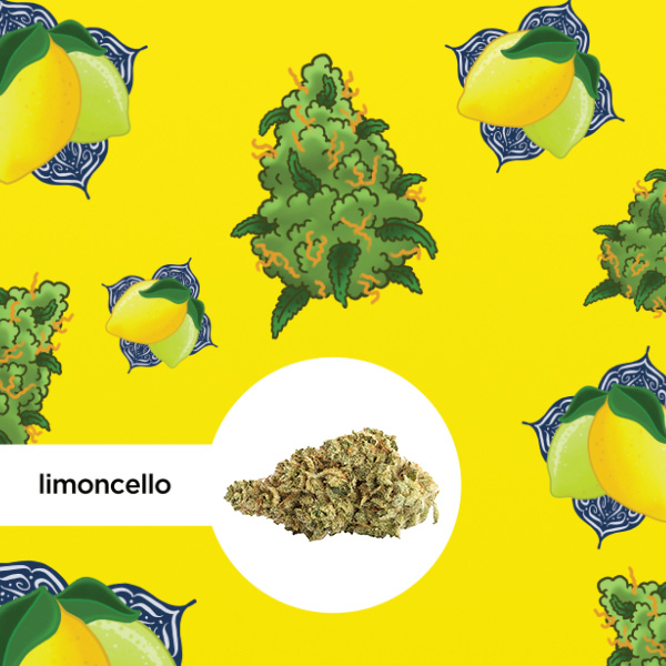 Kleine Knospe Aromablüte Limoncello CBD 24%