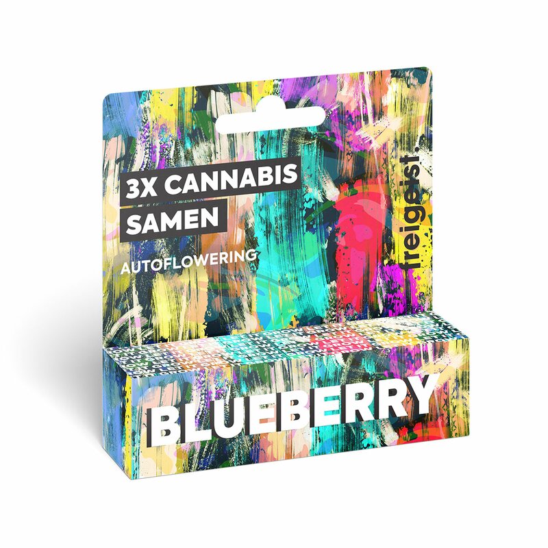 Freigeist Cannabis Samen Autoflowering Blueberry (3 Stück pro Packung)