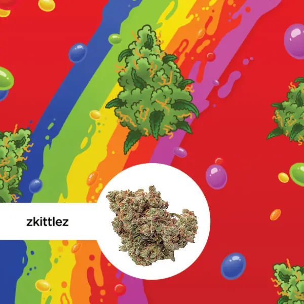 Kleine Knospe Aromablüte Magic Sauce Zkittlez